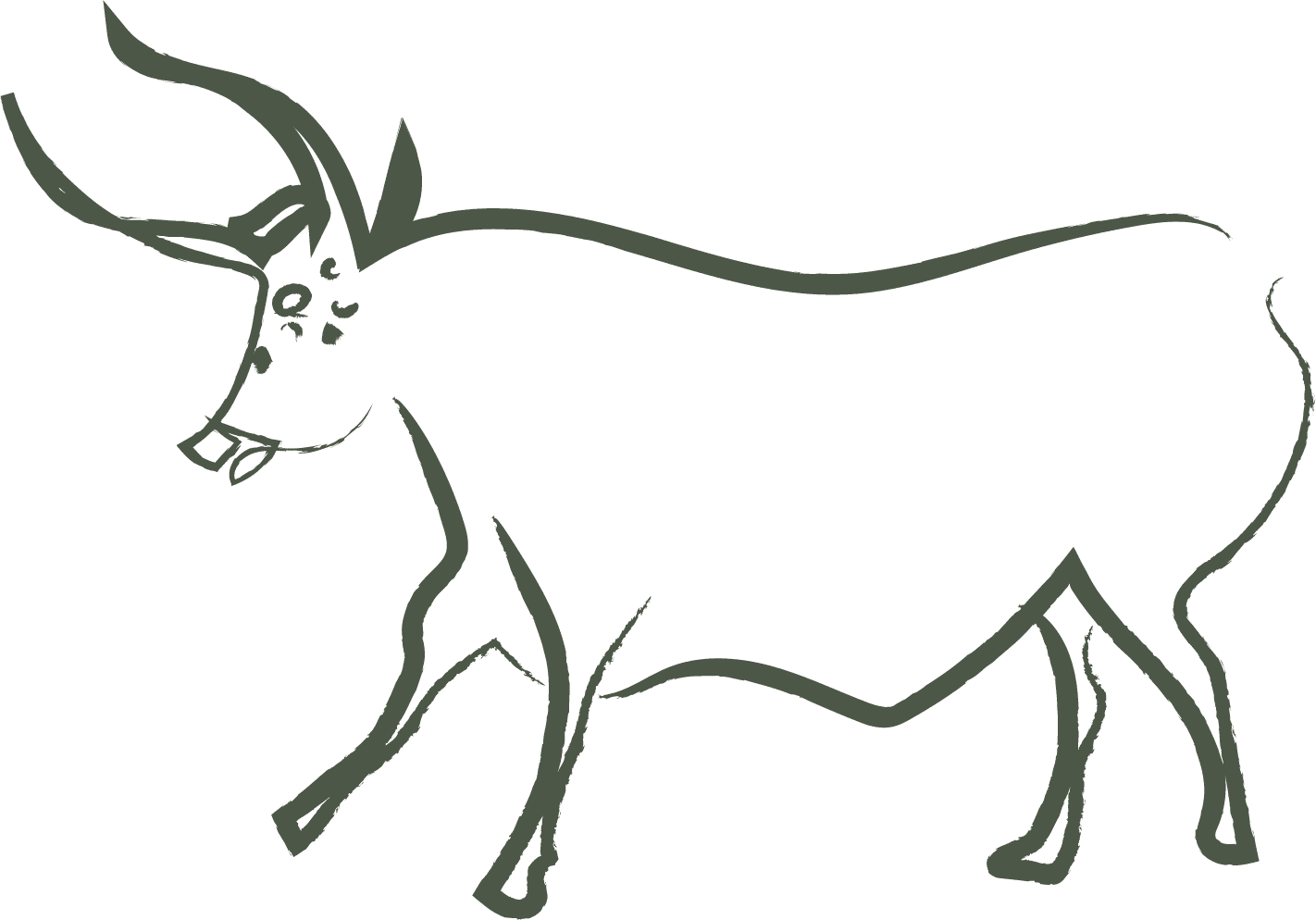 illustration taureau cazenac